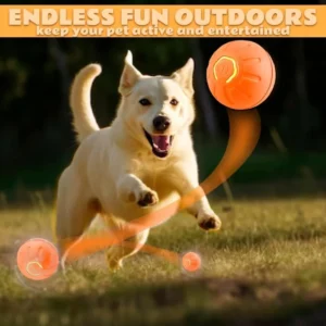 Smart Bouncing Electric Pet Ball