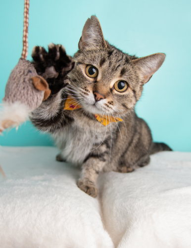 Home_Section1_Image2